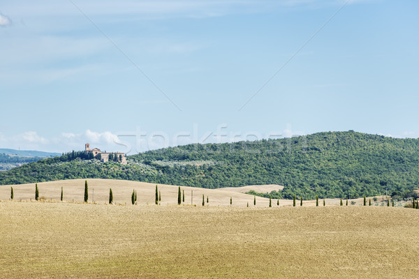 Beautiful landscape Tuscany Stock photo © w20er