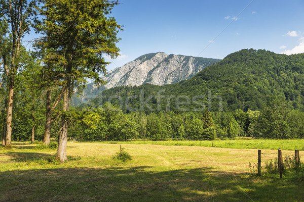 View to Jochberg Stock photo © w20er