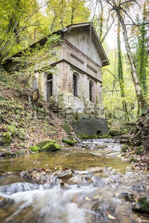 Creek in forest with old house Stock photo © w20er
