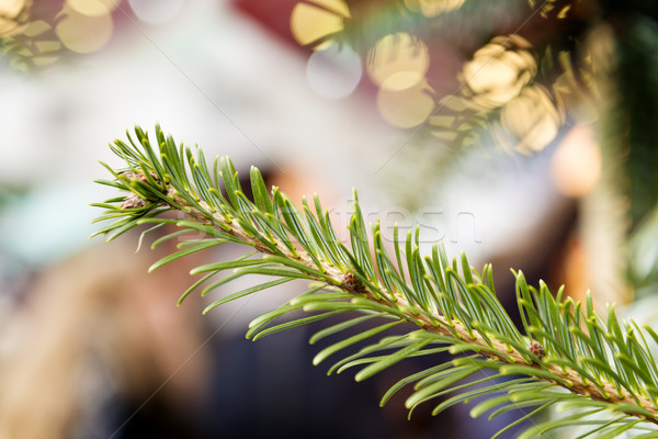 Noel pazar resim şube iş top Stok fotoğraf © w20er