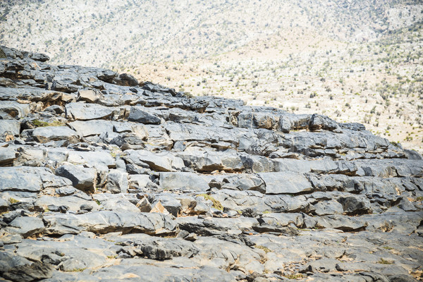 Rocks Jebel Shams Stock photo © w20er