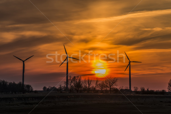 Three windmills with sunset Stock photo © w20er