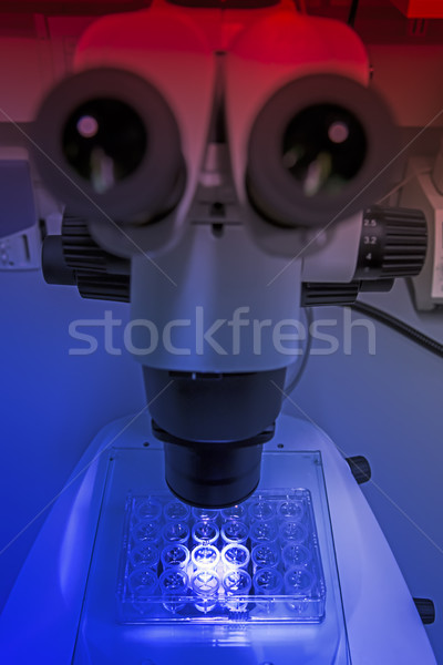 Mikroszkóp titokzatos fény vegyi laboratórium kék Stock fotó © w20er