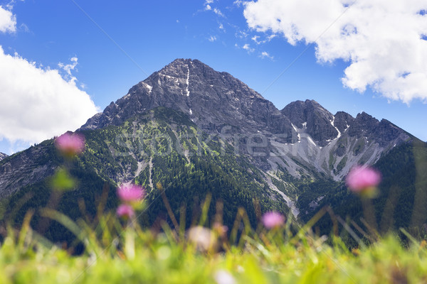 Stock photo: View to summit of Thaneller