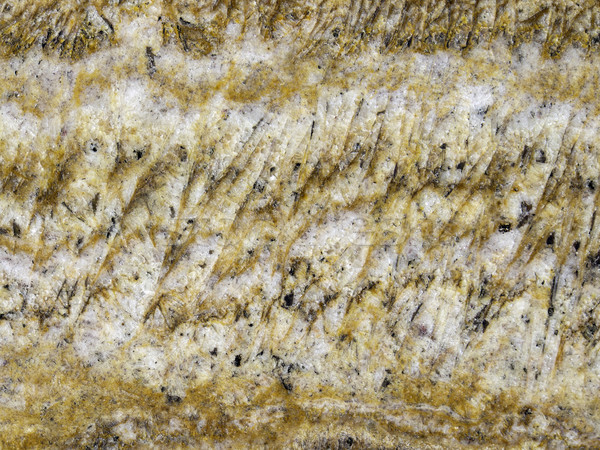 Kahverengi mermer doku resim soyut beyaz Stok fotoğraf © w20er