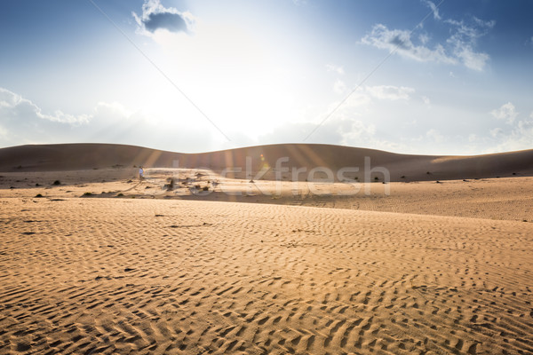 Sunset Wahiba Oman Stock photo © w20er