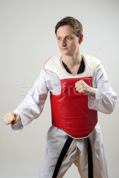 Taekwon-Do fighter Stock photo © w20er