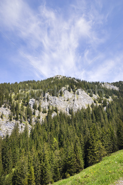 Breitenstein Bavaria Alps Stock photo © w20er