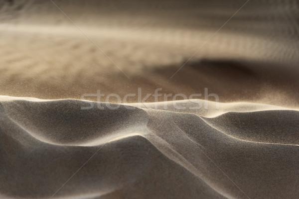 Flying grains of sand Stock photo © w20er