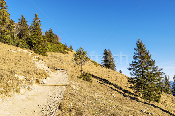 Stock photo: Path in Bavaria Alps