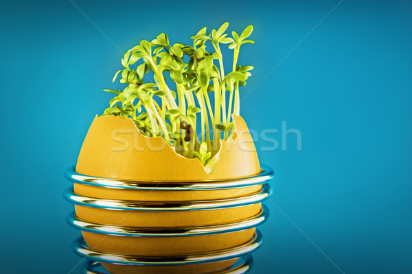 eggshell with cress Stock photo © w20er