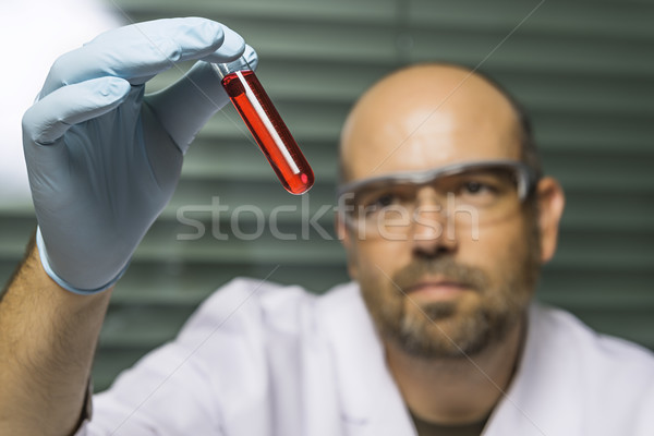 Wetenschappelijk laboratorium reageerbuis chemie Rood vloeibare Stockfoto © w20er