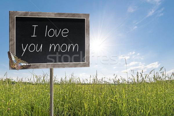 Tafel Text Liebe mom Wiese Stock foto © w20er