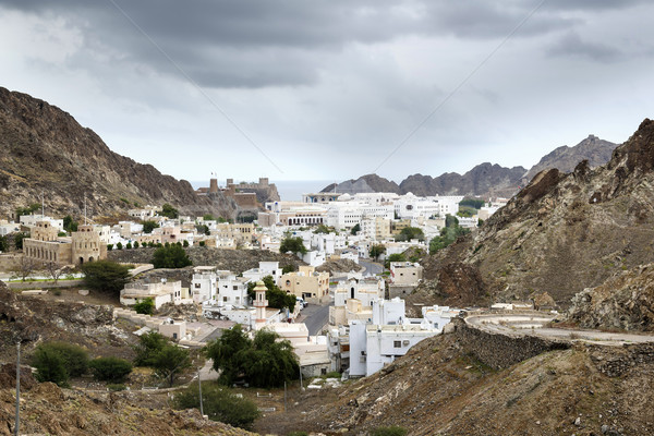 View to Muscat  Stock photo © w20er