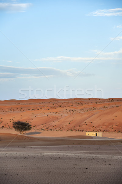 Building Desert Wahiba Oman Stock photo © w20er
