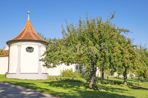 [[stock_photo]]: Mur · monastère · pommier · Allemagne · été · ciel