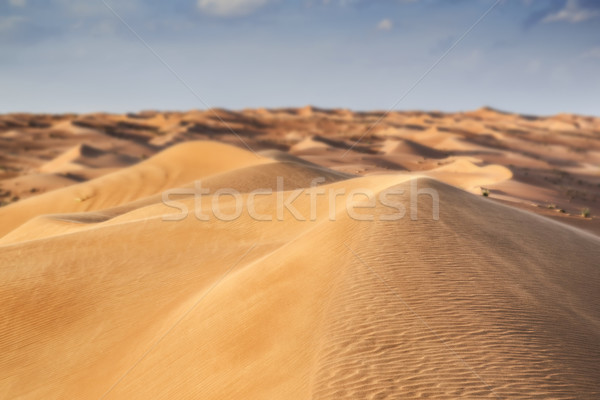 Deserto Oman nubi cielo blu cielo panorama Foto d'archivio © w20er