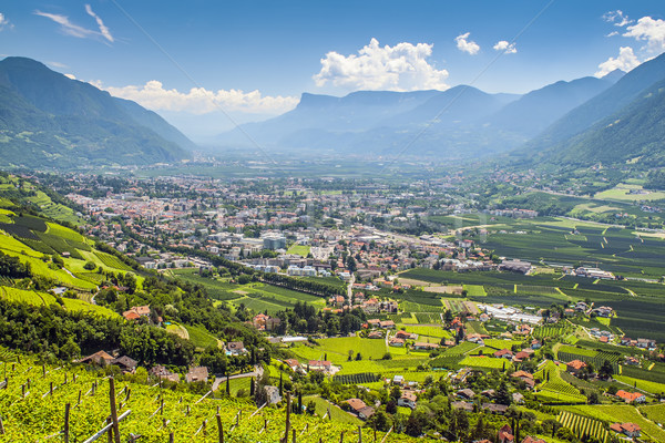 View to Merano South Tirol Stock photo © w20er