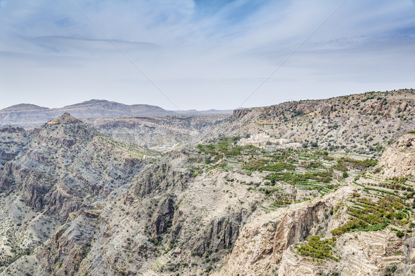 Foto stock: Omán · meseta · pueblo · imagen · paisaje · carretera