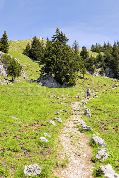 Stock photo: Path to summit Breitenstein