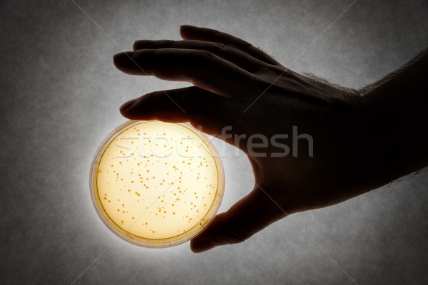 hand with Petri dish Stock photo © w20er