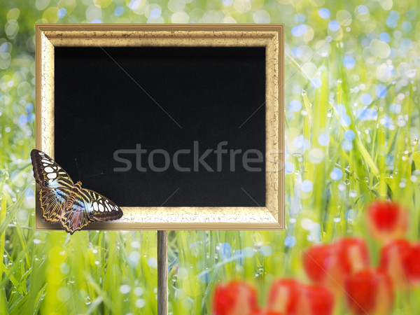 Tafel Schmetterling Wiese blauer Himmel glücklich Stock foto © w20er