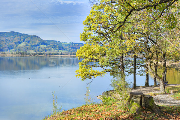 park at lake Kochelsee Stock photo © w20er