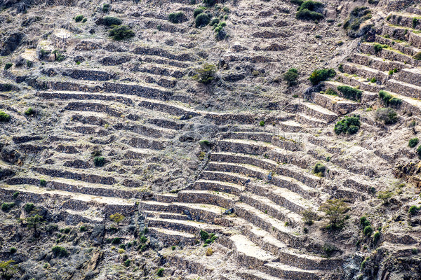 Oman Saiq Plateau Stock photo © w20er