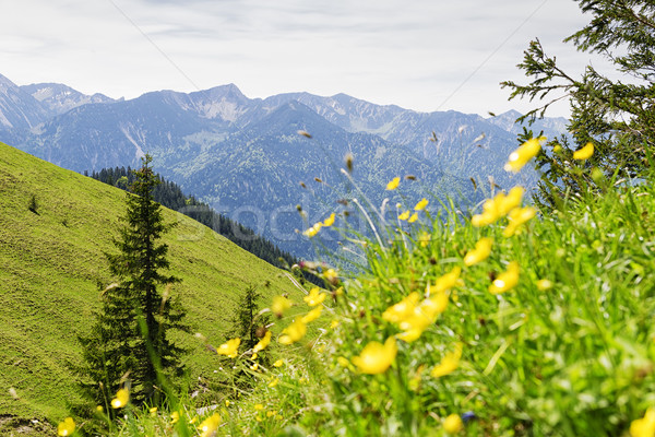Breitenstein Bavaria Alps Stock photo © w20er