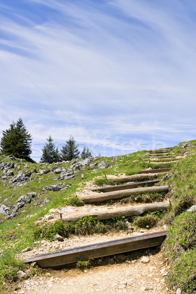 Path to summit Breitenstein Stock photo © w20er
