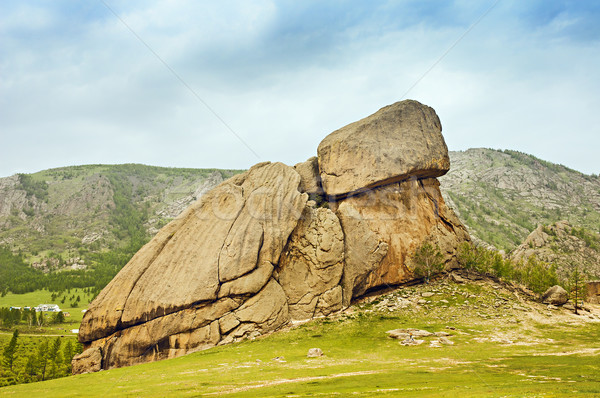 Tartaruga rock Mongolia parco natura neve Foto d'archivio © w20er