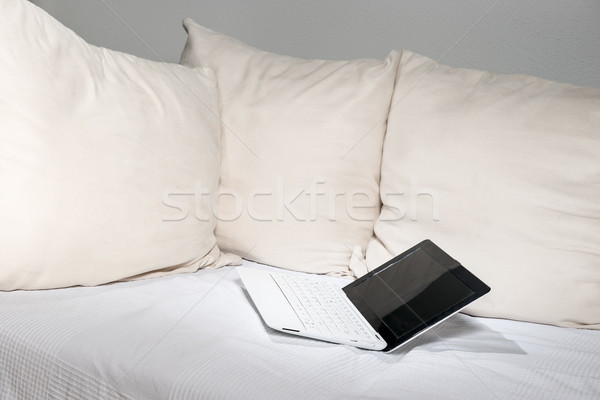 Laptop kanapé kép sápadt párnák ház Stock fotó © w20er