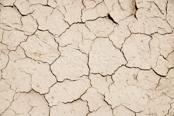 parched earth background Stock photo © w20er