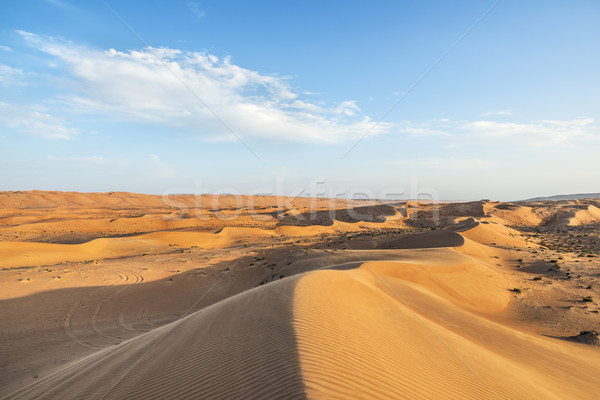 Woestijn Oman groene wolken blauwe hemel Stockfoto © w20er