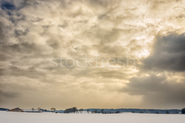 Winter Landschaft Sonnenuntergang Bild dramatischen Abend Stock foto © w20er