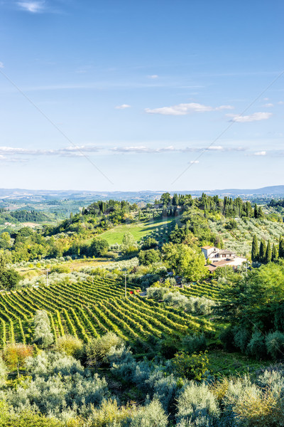 Tájkép Toszkána kép Olaszország fa háttér Stock fotó © w20er