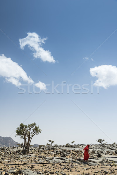 Jebel Shams bedouin woman Stock photo © w20er