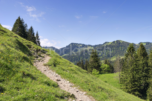 上升 阿爾卑斯山 景觀 背景 山 夏天 商業照片 © w20er