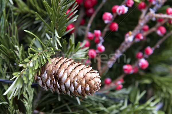 Decoration pine cone Christmas Market Stock photo © w20er