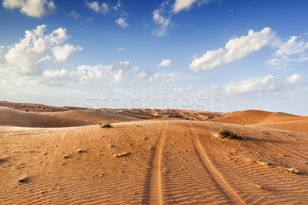 Desert Wahiba Oman Stock photo © w20er