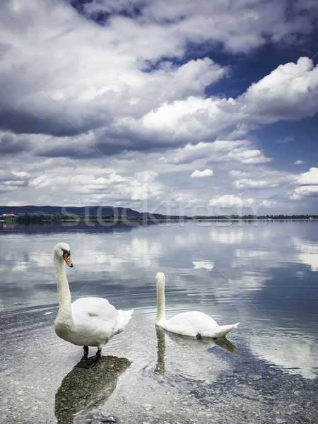 Deux rive lac ciel arbre lumière [[stock_photo]] © w20er