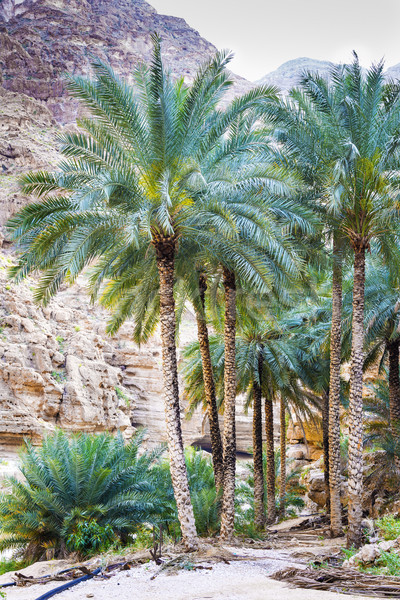 Stock photo: Wadi Shab Oman