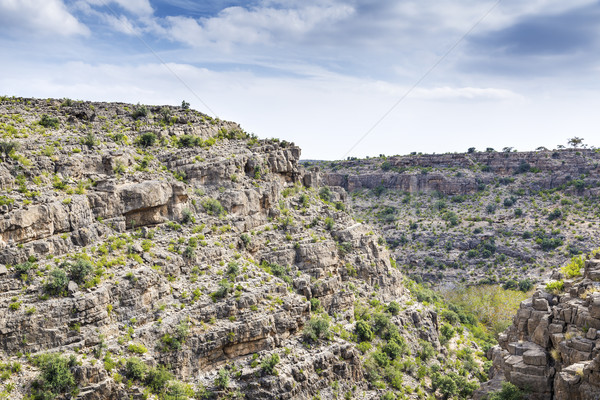 Foto d'archivio: Oman · immagine · panorama · strada · natura · viaggio