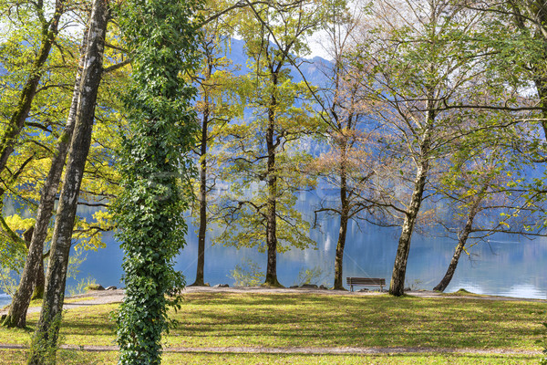park at lake Kochelsee Stock photo © w20er
