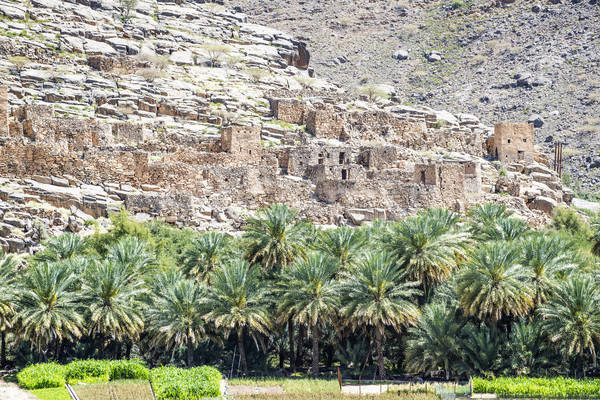 Jebel Akhdar Stock photo © w20er