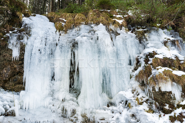 Congelado cascada lago Alemania invierno madera Foto stock © w20er