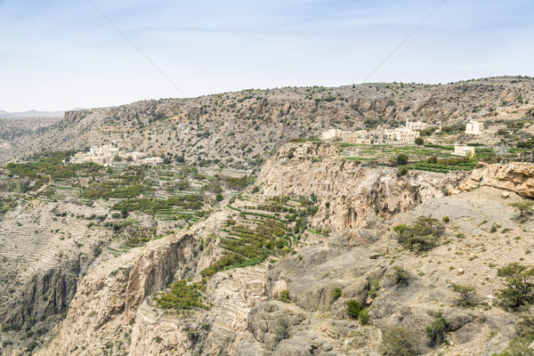 Landscape Jebel Akhdar Oman Stock photo © w20er