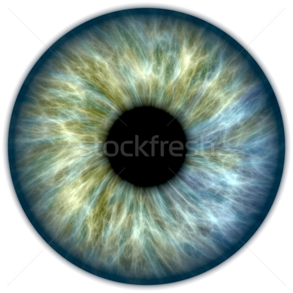 Blau grünen Iris Illustration menschlichen Auge Stock foto © w20er