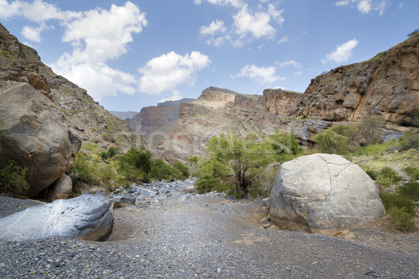 Landscape Oman Stock photo © w20er