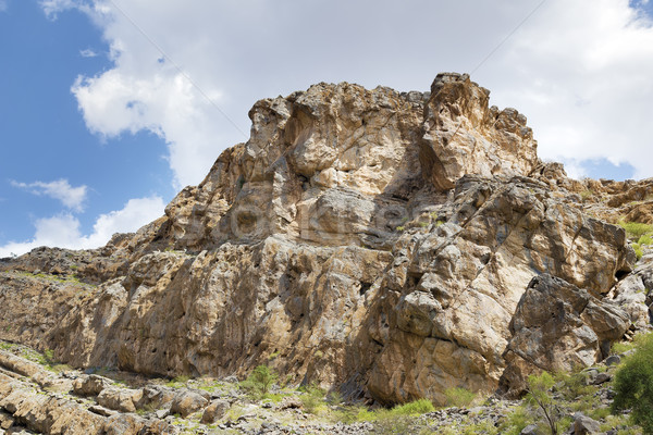 Landscape Oman Stock photo © w20er